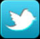 2013 Twitter