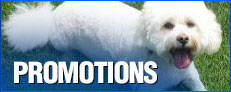 2013 Promotions