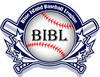 Blue Island Baseball League All Star Game
